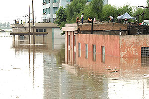 Северная Корея просит еды