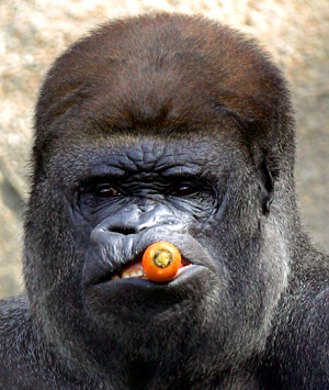 Это просто жизнь