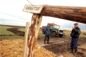 Сибирская язва на Алтае: 10 человек в больнице
