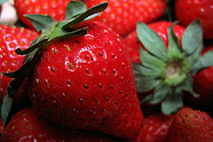 7 млрд рублей на автопарк, 300 млн - на ягоды и фрукты и другие госзакупки следующего года