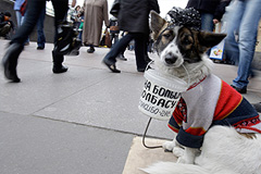 Вера в рубль дала трещину