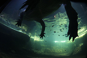 Это просто жизнь