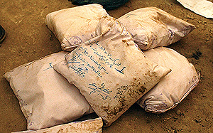 Россия отказалась от помощи США