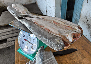 Российский Дальний Восток отдадут State Company for Development of Siberia and the Far East