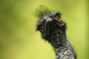 Это просто жизнь