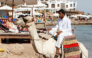 Мы надеемся выйти в этом году на дореволюционные показатели по количеству туристов из России