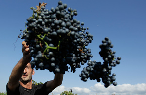 Грузинское вино возвращается