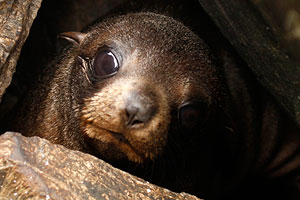 Это просто жизнь