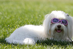 Москвичам понадобится крем от загара