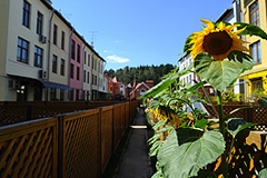 Налог на роскошную недвижимость - удар по среднему классу