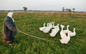 "Россельхозбанк" разделят на две части