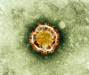 5 важных фактов о смертельном коронавирусе
