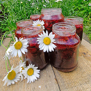 5 самых странных новостей недели