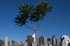 10 главных секретов успеха мировых столиц будущего