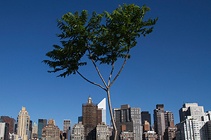 10 главных секретов успеха мировых столиц будущего