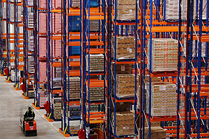 Экономика XXI века на примере iPоd