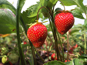 7 интересных мест, куда сходить с детьми на выходных