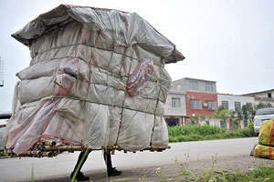 Европу погубит безработица