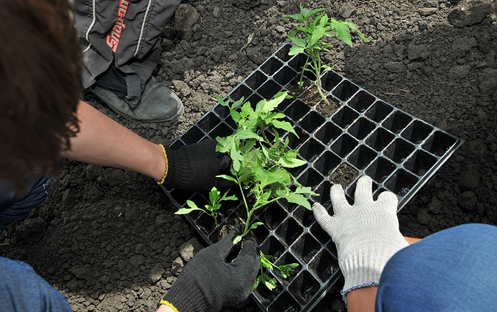 Реформы ускоряют экономический рост