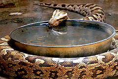 5 самых странных новостей недели