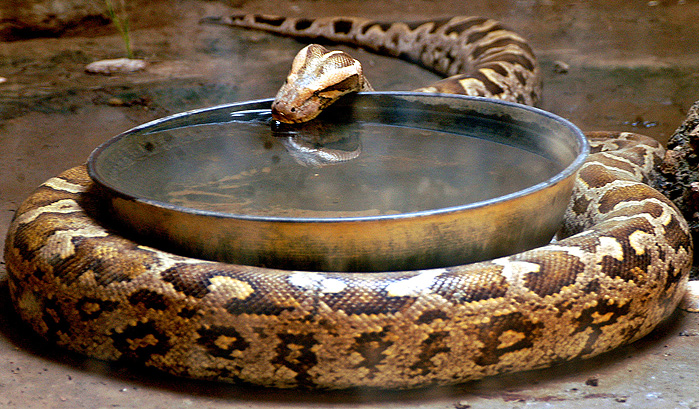 5 самых странных новостей недели