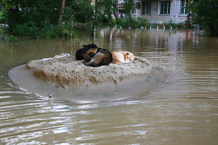 Дальнему Востоку выделено 12 млрд рублей