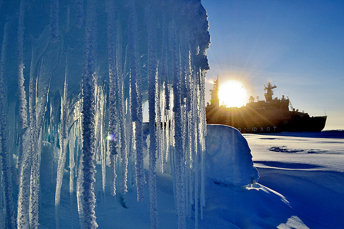 "Мы возвратились навсегда"