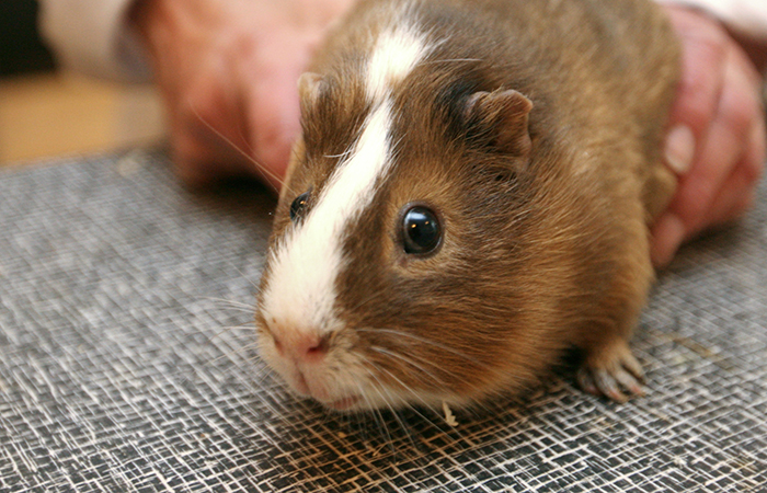 Куда пойти с детьми: 10 самых интересных мест