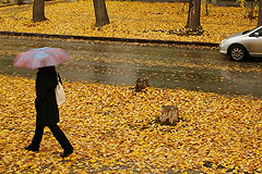 В выходные в Москве станет теплее