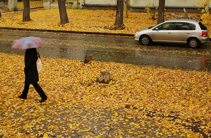 В выходные в Москве станет теплее