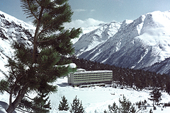 Топ-менеджер дочки "Роснефти" украл базу отдыха