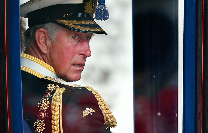 Принц Чарльз все-таки хочет быть королем
