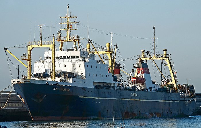 Власти Сенегала не нашли нарушений на борту "Олега Найденова"