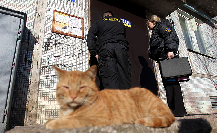 Приставам запретят изымать посуду и животных за долги