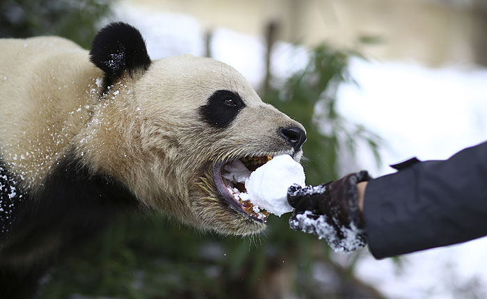 5 самых странных новостей недели