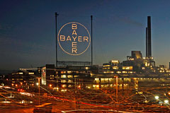  Bayer    :        