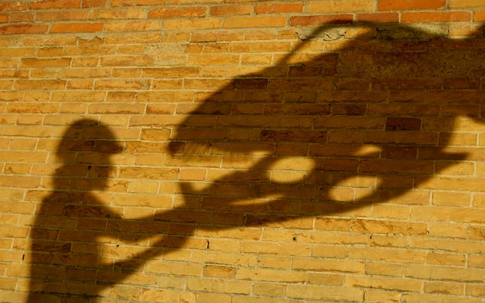 Аргентинские ученые заявили об обнаружении самого крупного динозавра