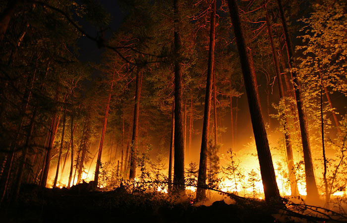 В Иркутской области из-за лесного пожара сгорело более 20 домов