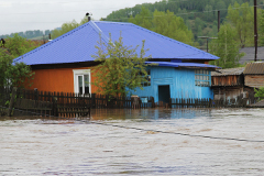 Выпускники из затопленных районов Алтайского края смогут сдать ЕГЭ