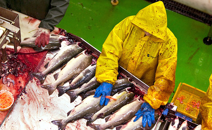 ФАС предупредила "Русское море" о недопустимости повышения цен