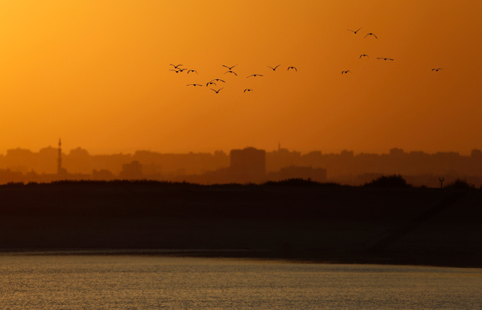 ХАМАС и Израиль договорились о новом перемирии