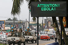 Число жертв лихорадки Эбола превысило 1200 человек