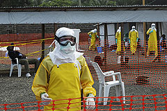 Япония предложила бороться с лихорадкой Эбола с помощью лекарства от гриппа