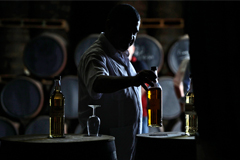 Pernod Ricard до максимума нарастила поставки алкоголя в РФ