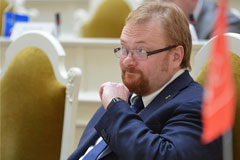 Депутат Милонов предложил создать государственную туристическую компанию