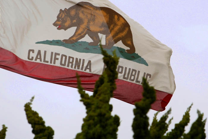 Депутат попросил проверить законность нахождения Форт-Росс в составе США