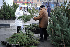 В Москве в субботу откроются почти 250 елочных базаров