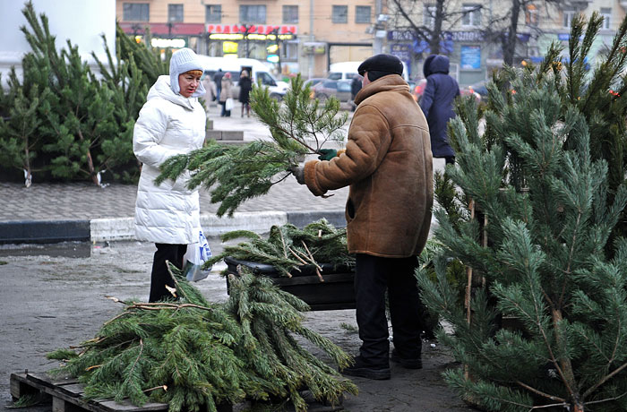 В Москве в субботу откроются почти 250 елочных базаров