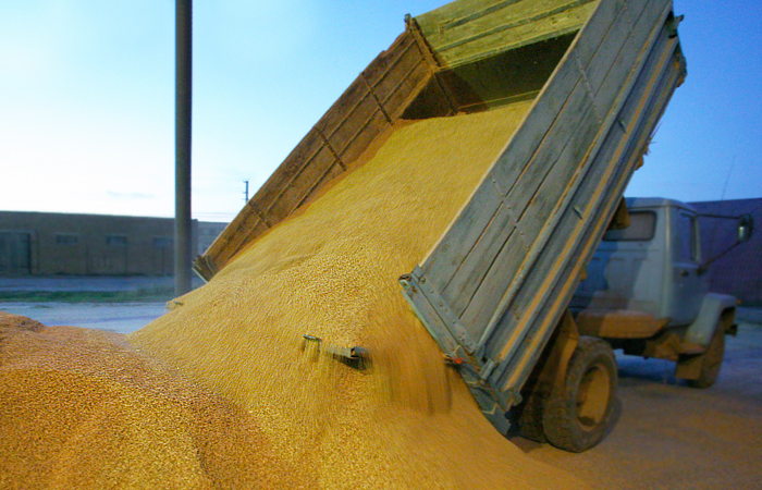 Россия решила ввести экспортную пошлину на зерно