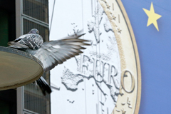 Доллар и евро взлетели к максимумам недели